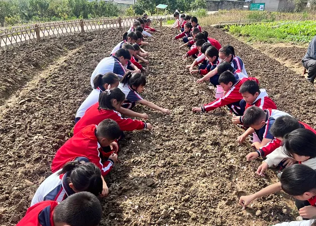劳动教育在校园中稳步推进帮助学生成为适应时代合格人才 劳动教育在校园中稳步推进帮助学生成为适应时代合格人才